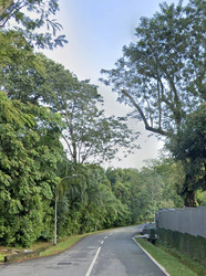ridout-road photo thumbnail #10